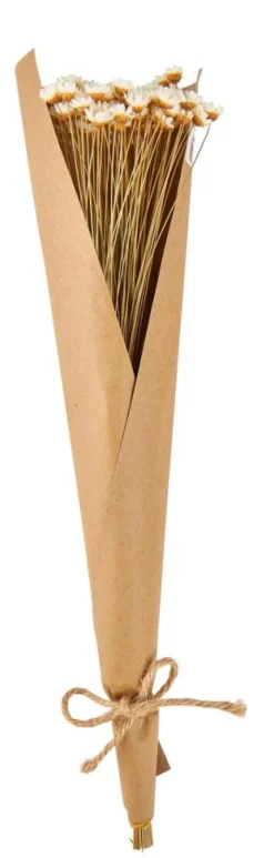 Fleurs Artificielles^CASA ACTINO Fleurs Séchées Blanc