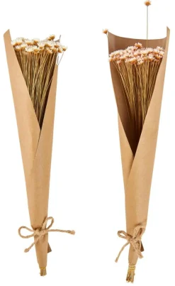 Fleurs Artificielles^CASA ACTINO Fleurs Séchées Blanc