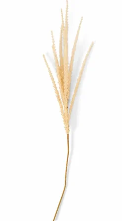 Vases^CASA ADDO Vase Crème