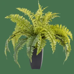 Plantes Artificielles^CASA BOSTON Fougère Vert