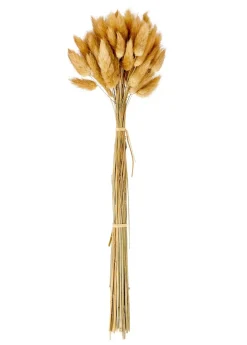 Vases^CASA DAMA J Dame-jeanne Brun