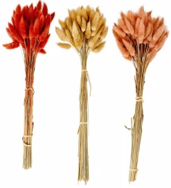 Vases^CASA DAMA J Dame-jeanne Brun