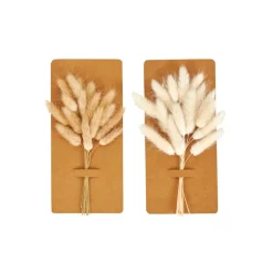 Vases^CASA DAME JEANNE Dame Jeanne Brun