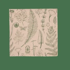 Serviettes^CASA ECO NATURE Set De 20 Serviettes Multicolore