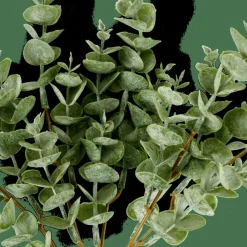 Fleurs Artificielles^CASA EUCALYPTUS Branche D'eucalyptus Vert