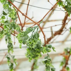 Plantes Artificielles^CASA GREEN Boule Buis Vert