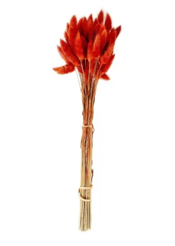 Fleurs Artificielles^CASA LAGURUS Lagure Ovale Rouge