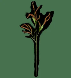 Branches Artificielles^CASA OPHIO Branche