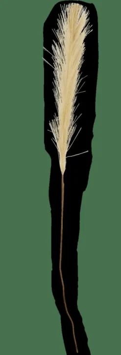 Branches Artificielles^CASA PLUME Plumes Décoratives Vert