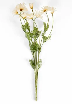 Vases^CASA RONDA Vase Beige