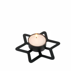 Fleurs Artificielles^CASA STAR Décoration Séchée