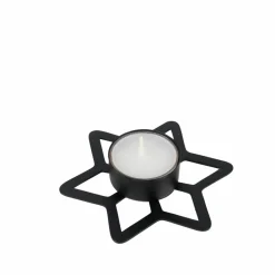 Fleurs Artificielles^CASA STAR Décoration Séchée