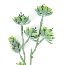 Fleurs Artificielles^CASA STAR Décoration Séchée